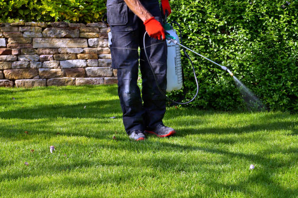 Best Pest Prevention Services  in Choctaw Lake, OH